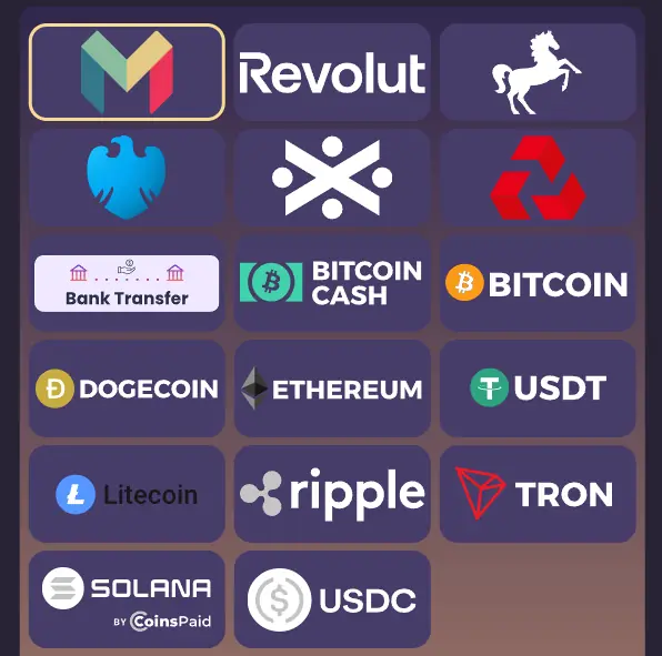 Payment methods at Spinchester Casino, from cards to crypto